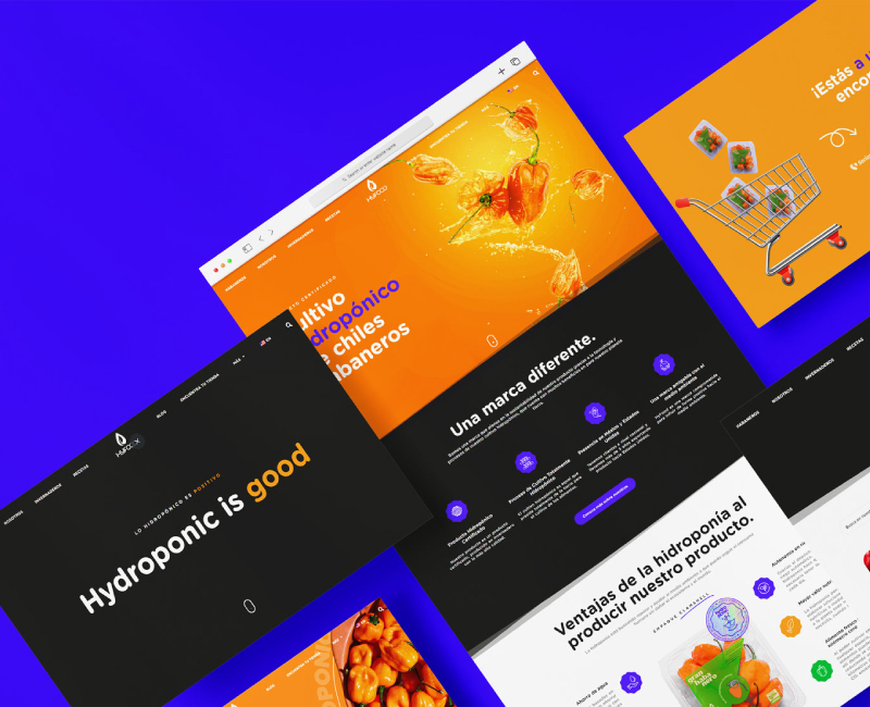 Proyecto de Diseño Web HyFood