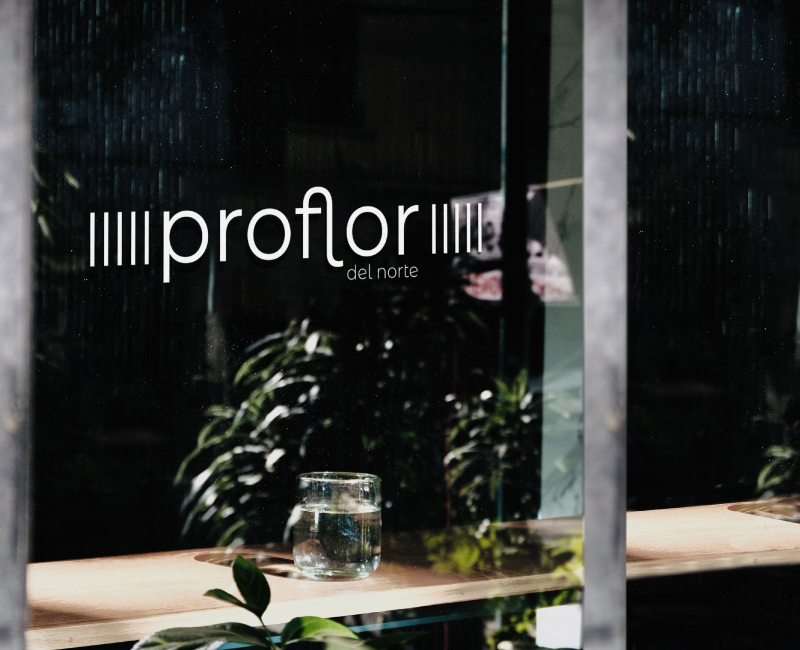 Proyecto de Branding Proflor del Norte